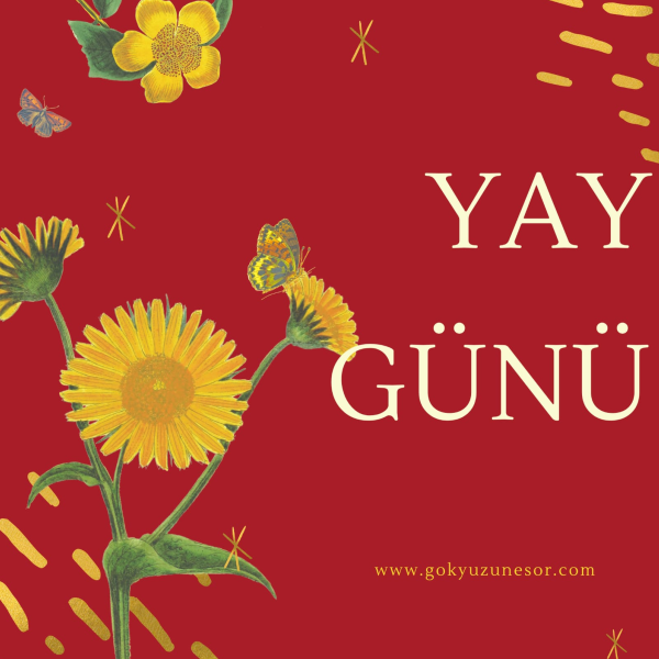 3 temmuz 2020 3 temmuz 2020