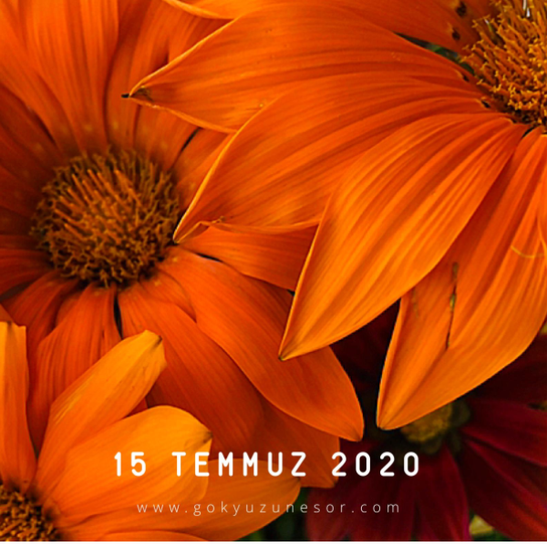 15 temmuz 2020 15 temmuz 2020