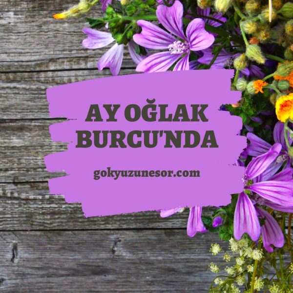 ay oglak burcunda ay oglak burcunda