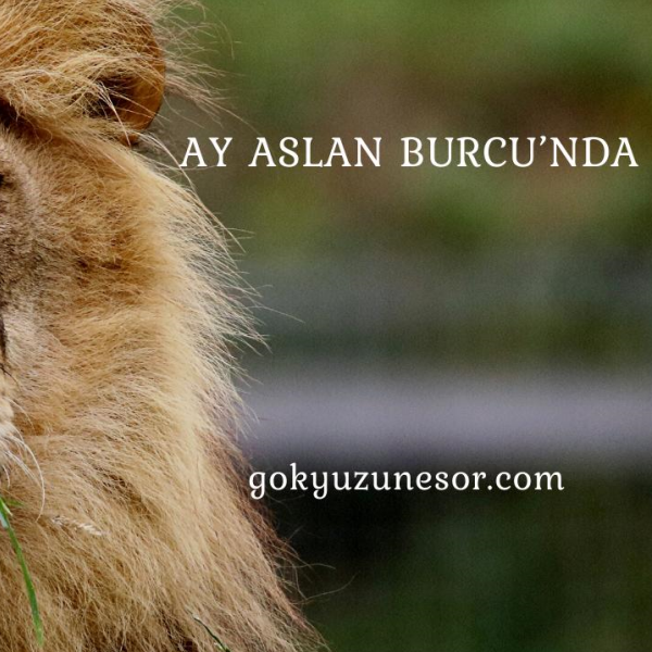 ay aslan burcu nda ay aslan burcu nda