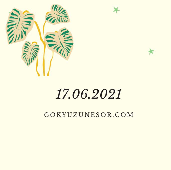 17062021 gunluk astroloji yorumu 17062021 gunluk astroloji yorumu