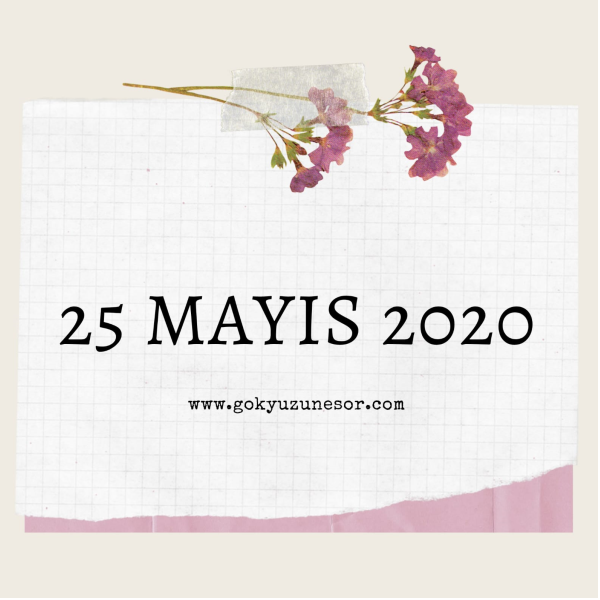 25 mayis 2020 pazartesi 25 mayis 2020 pazartesi