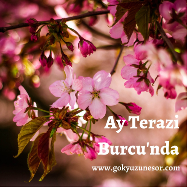 2 haziran 2020 sali ay terazi burcu da 2 haziran 2020 sali ay terazi burcu da