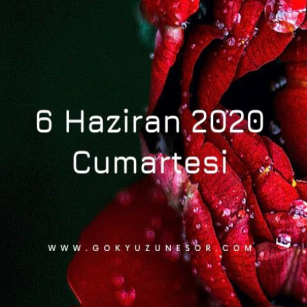 6 haziran 2020 cumartesi 6 haziran 2020 cumartesi