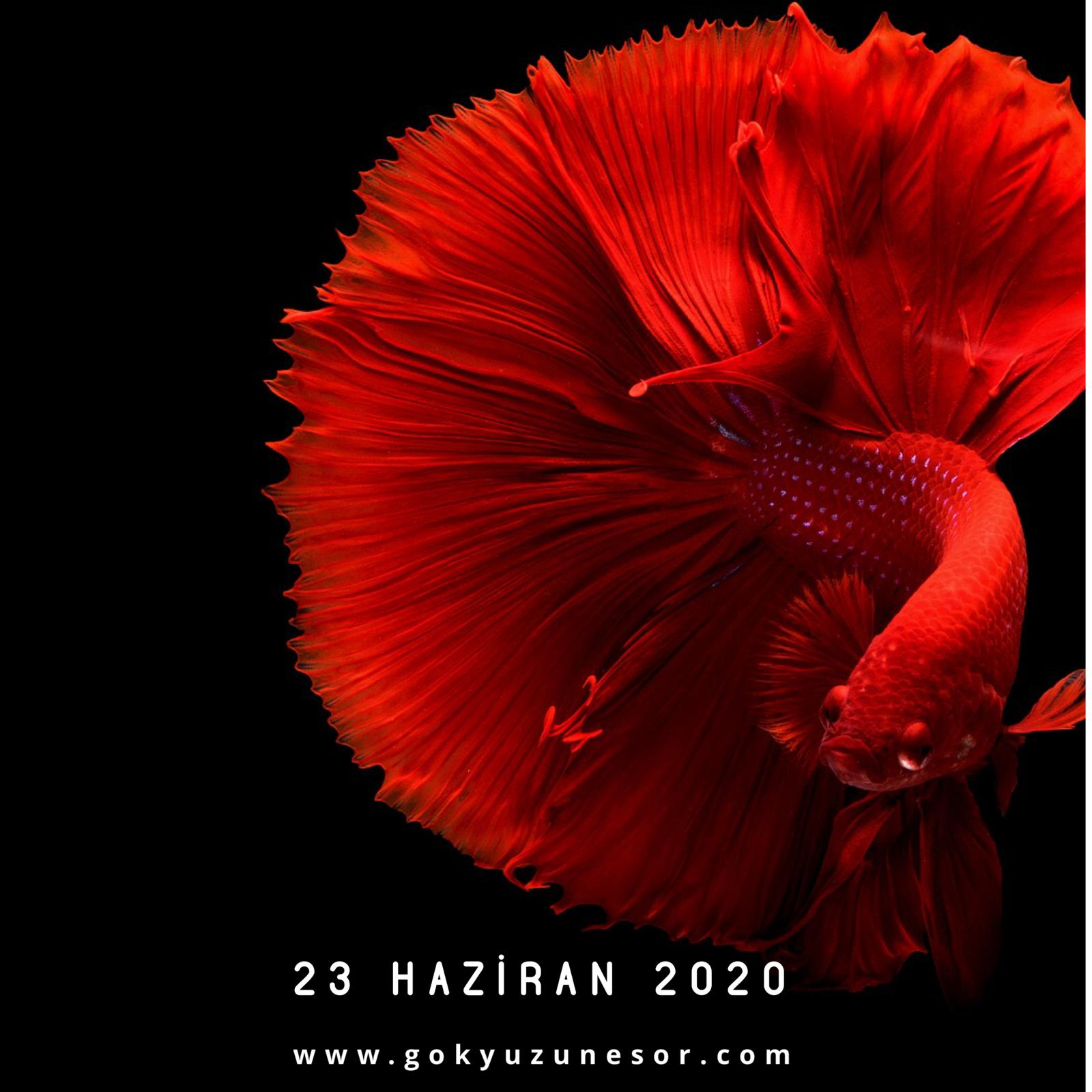23 haziran 2020 sali 23 haziran 2020 sali