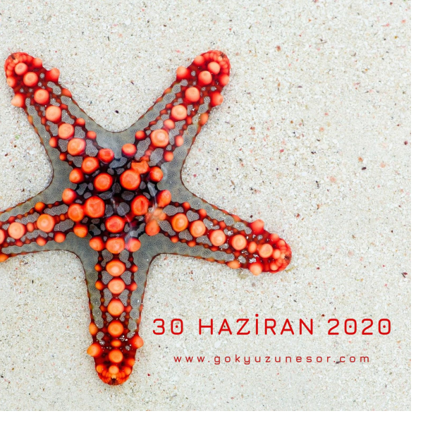 30 haziran 2020 sali 30 haziran 2020 sali