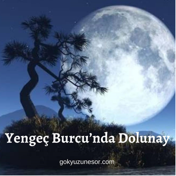 30 aralik 2020 carsamba yengec burcu nda dolunay 30 aralik 2020 carsamba yengec burcu nda dolunay